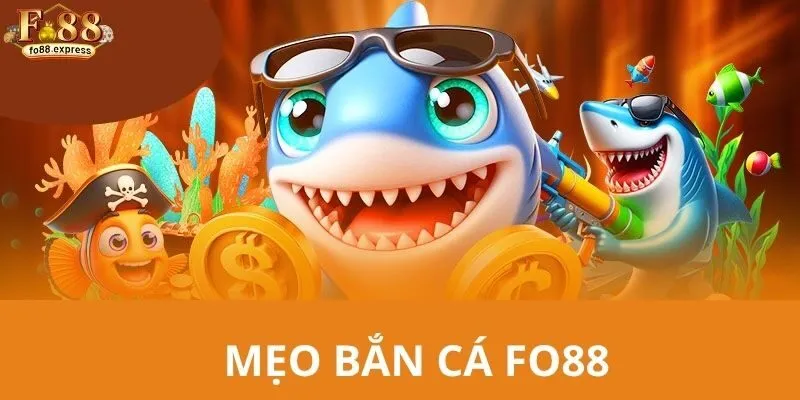 Những mẹo săn cá cực hay được hệ thống bật mí đến hội viên